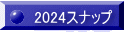 2024Xibv