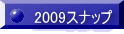 2009Xibv