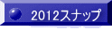 2012Xibv